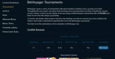 Bet Voyager Casino: 