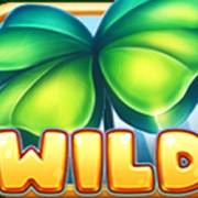 100 Bulky Fruits: Wild