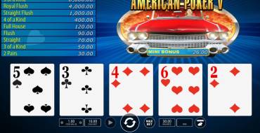 American Poker V: Особенности