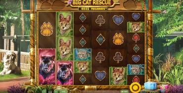 Big Cat Rescue Megaways: Игровой автомат