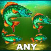 Big Catch Bass Fishing Megaways: Рыбы