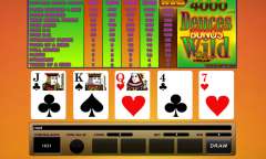 Онлайн слот Bonus Deuces Wild Poker играть