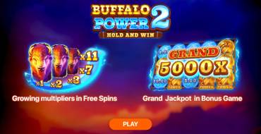 Buffalo Power 2: Hold and Win: Уникальные функции