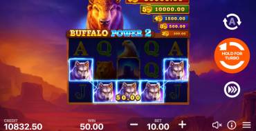 Buffalo Power 2: Hold and Win: Выигрыши