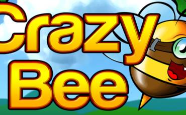 Crazy Bee