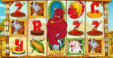 Crazy Cows: Wild