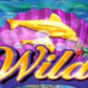 Dolphin Quest: Wild