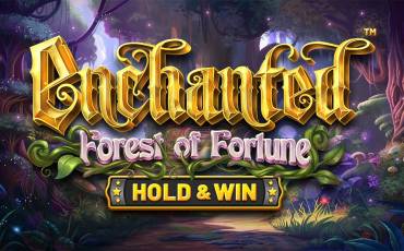 Игровой автомат Enchanted: Forest of Fortune Hold&Win