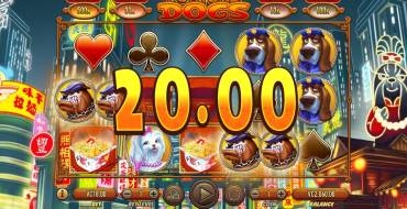 Fortune Dogs: Интерфейс слота