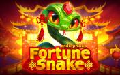 Fortune Snake (демо-версия)