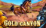 Gold Canyon (Betsoft)