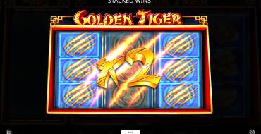 Golden Tiger: Правила