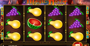 Magic Hot 4 Deluxe: Выигрыши