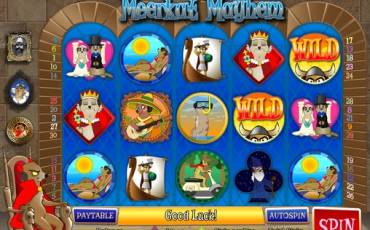 Игровой автомат Meerkat Mayhem