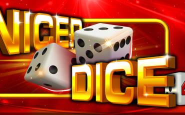 Nicer Dice 40