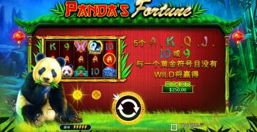 Panda’s Fortune: Тематика