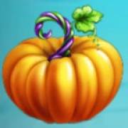 Pumpkin Patch: Тыква