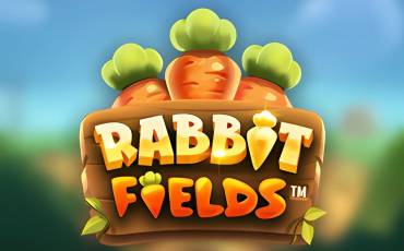 Rabbit Fields