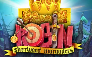 Игровой автомат Robin - Sherwood Marauders