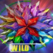 Space Spins: Wild