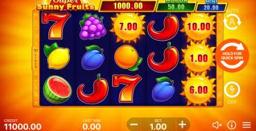 Super Sunny Fruits: Hold and Win: Игровой автомат