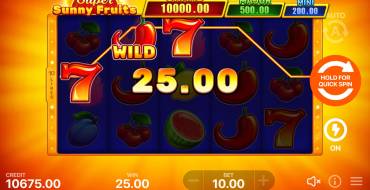 Super Sunny Fruits: Hold and Win: Выигрыши