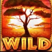 The Ultimate 5: Wild