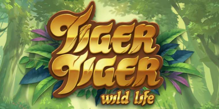 Слот Tiger Tiger играть бесплатно