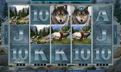 Онлайн слот Untamed Wolf Pack играть