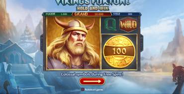 Viking Fortune: Hold and Win: Игровой автомат Viking Fortune