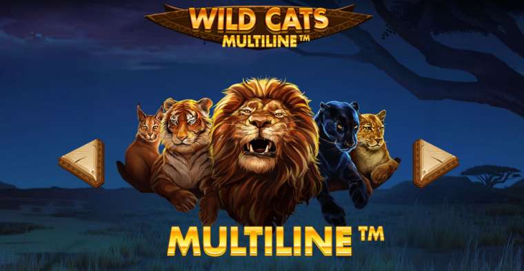 Слот Wild Cats Multiline играть бесплатно