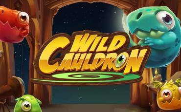 Игровой автомат Wild Cauldron