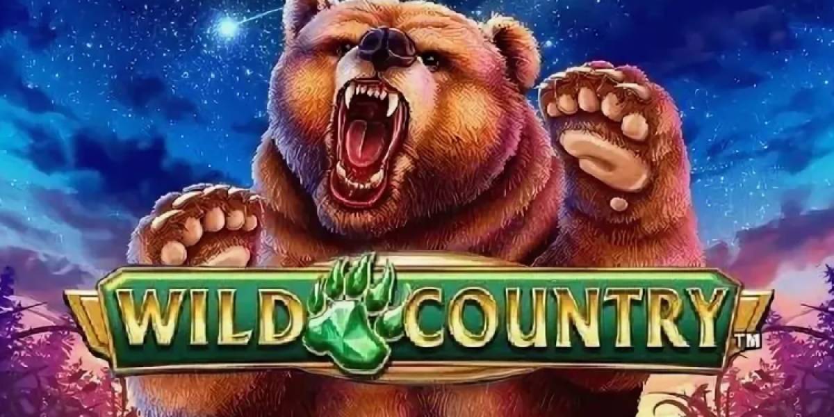 Игровой автомат Wild Country