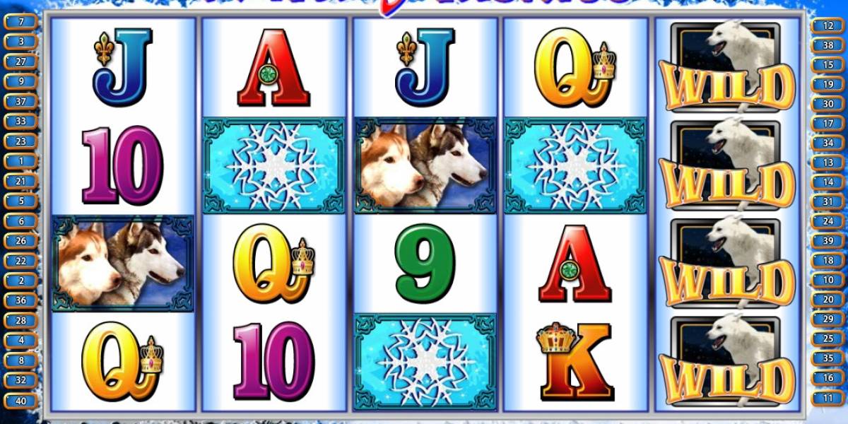 Игровой автомат Wild Huskies