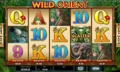 Онлайн слот Wild Orient играть