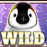 Wild Penguin: Wild