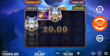 Wolf Land: Hold and Win: Выигрыши