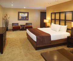 Gold Coast Hotel & Casino Las Vegas: Luxury Suite