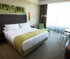 Sun Monticello Casino and Hotel: King standard executive